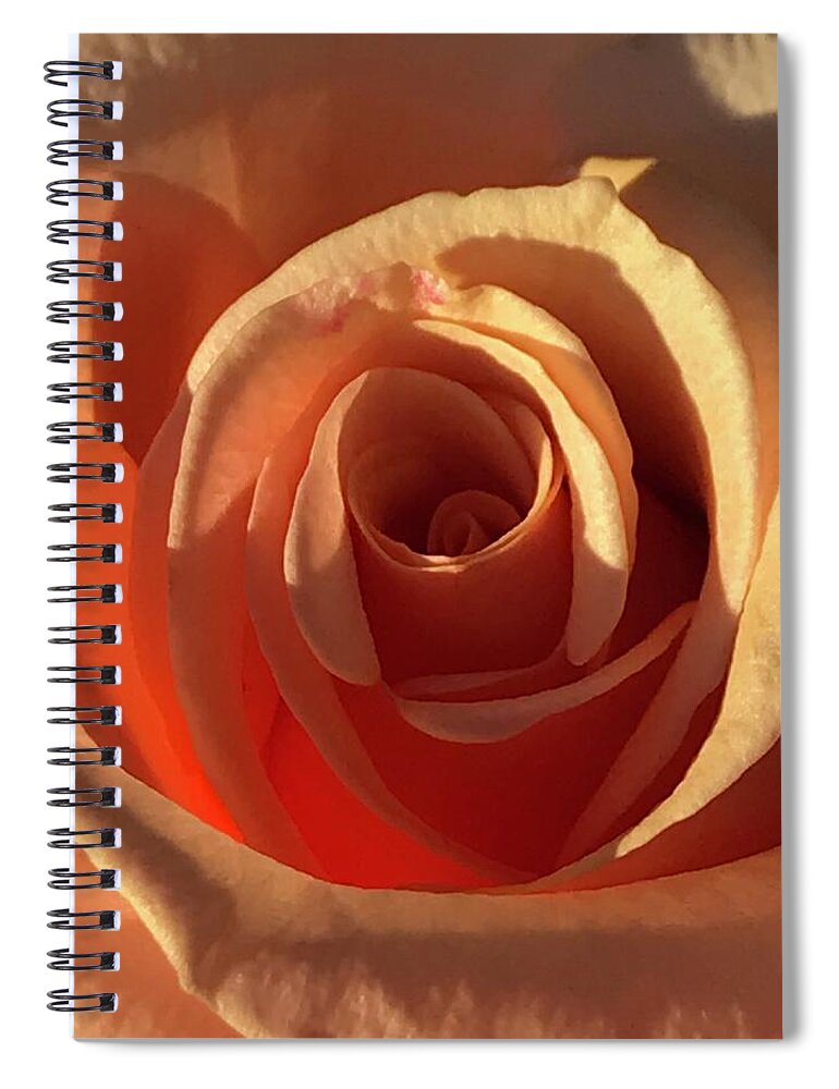 Rose Spiral Notebook featuring the photograph Summer Glow by Tiesa Wesen
