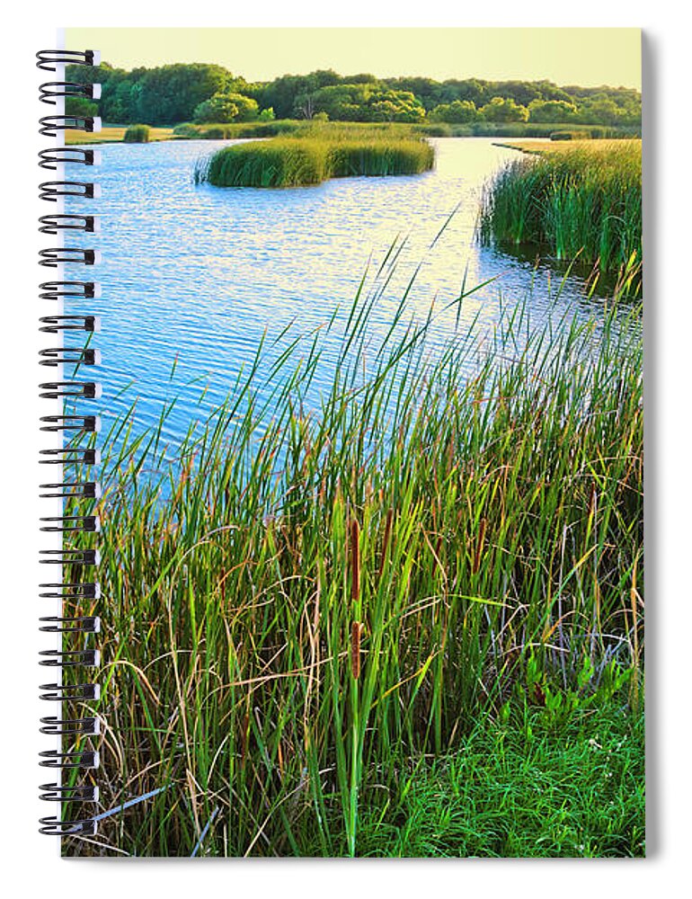Water's Edge Spiral Notebook featuring the photograph Summer Lake And Cattails by Dszc