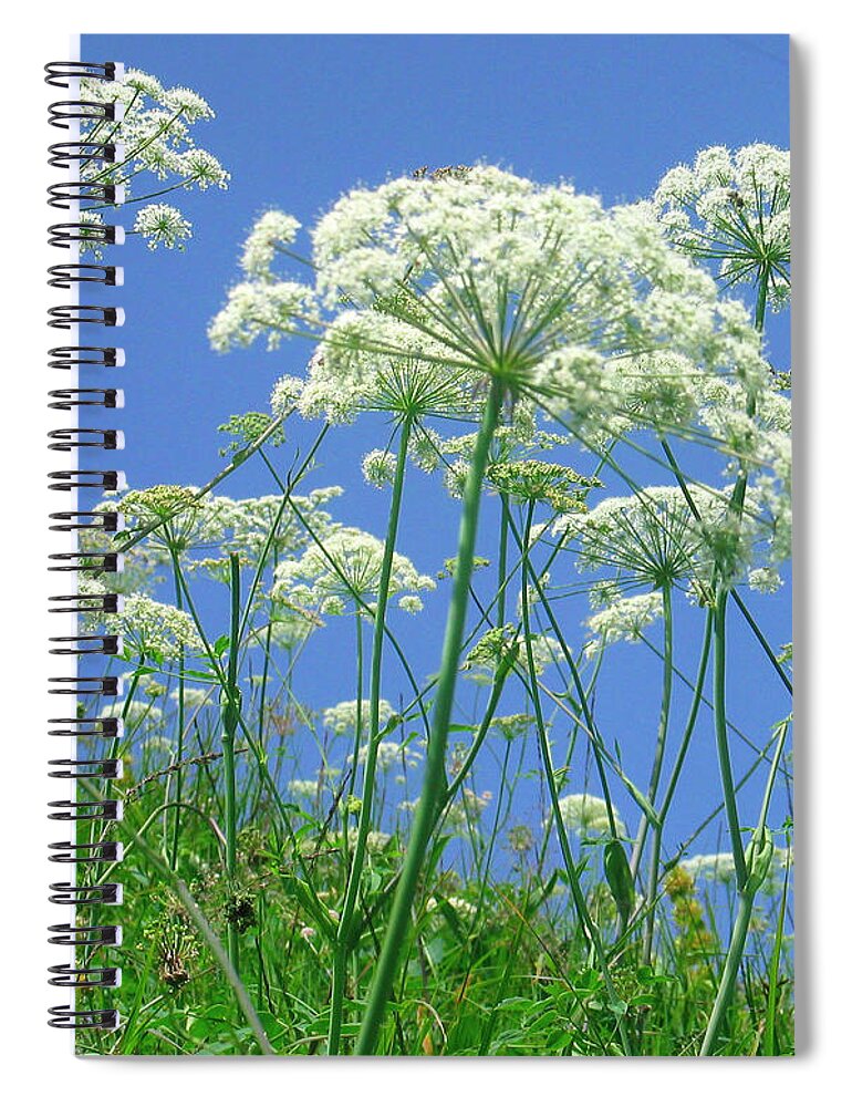 Outdoors Spiral Notebook featuring the photograph Summer Nature Flowers by Fresh, Amazing Pictures Make People Look!