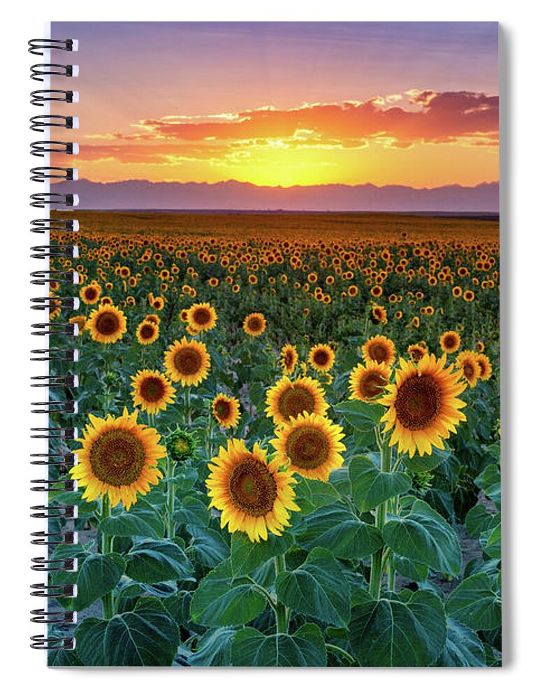 Colorado Spiral Notebook featuring the photograph Summer Romance by John De Bord