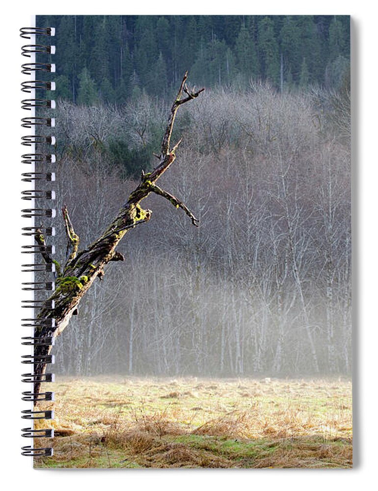 The End Spiral Notebook featuring the photograph Sun Rays Shine Down Upon A Dead Tree by Ethan Welty