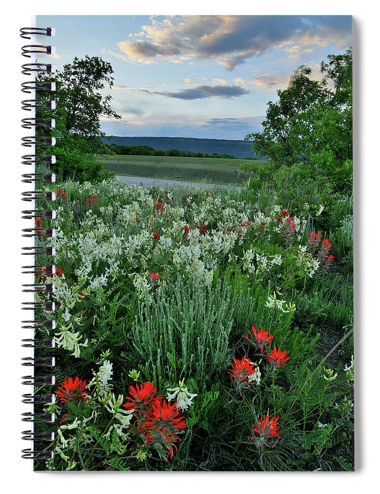 Ouray Spiral Notebook featuring the photograph Sun Setting over Dallas Divide Wildflowers by Ray Mathis