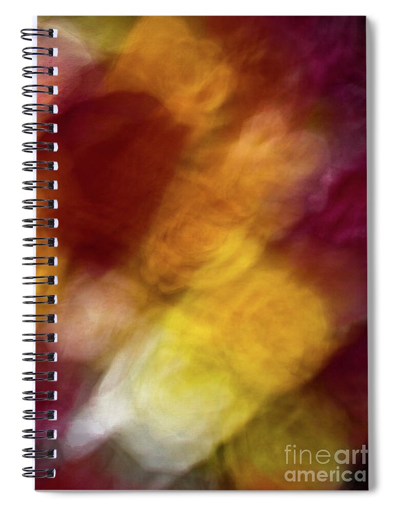Abstract Spiral Notebook featuring the photograph Sunflower abstract by Phillip Rubino