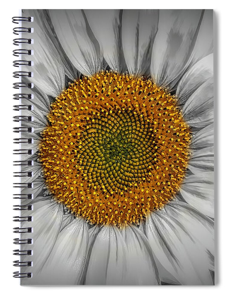 Photographs Spiral Notebook featuring the photograph Sunflower Delight by John A Rodriguez