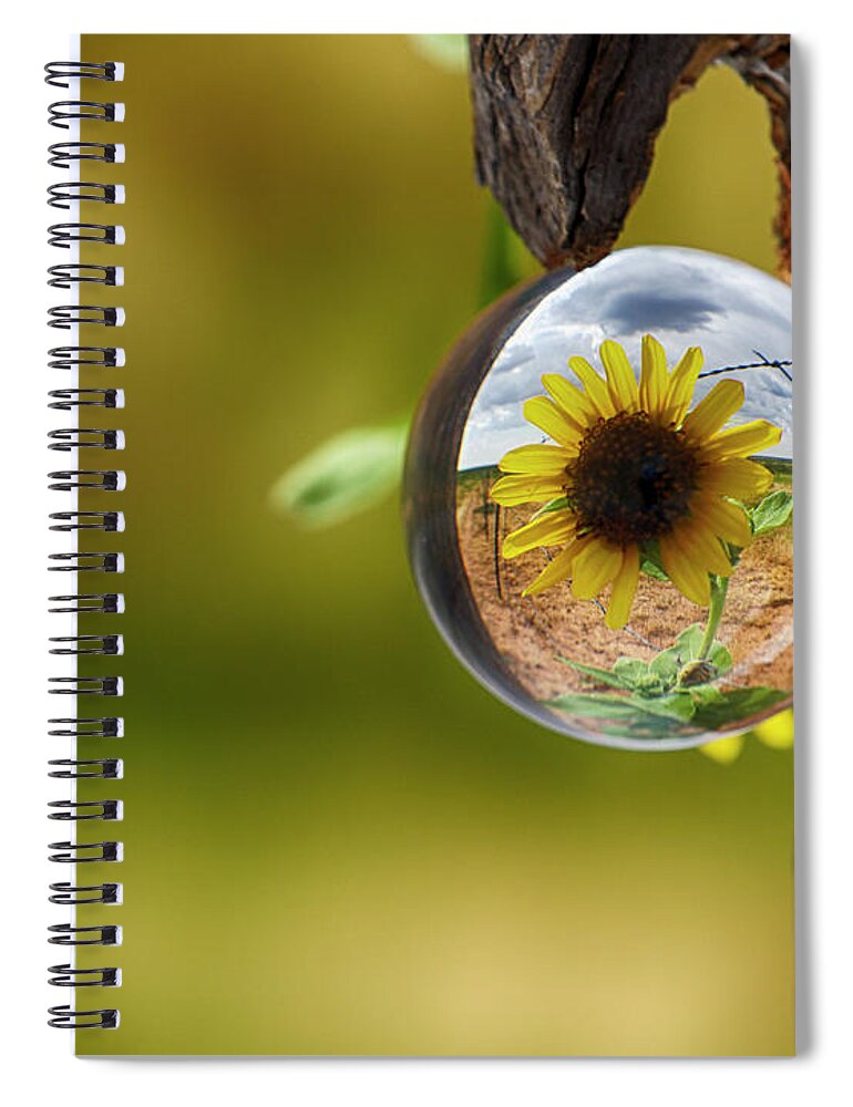 Sunflower Spiral Notebook featuring the photograph Sunflower Drop by See It In Texas