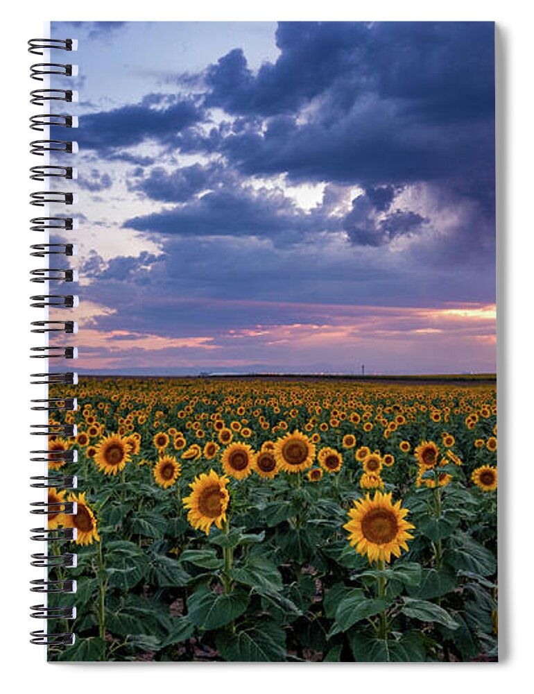 Colorado Spiral Notebook featuring the photograph Sunflower Eevening by John De Bord
