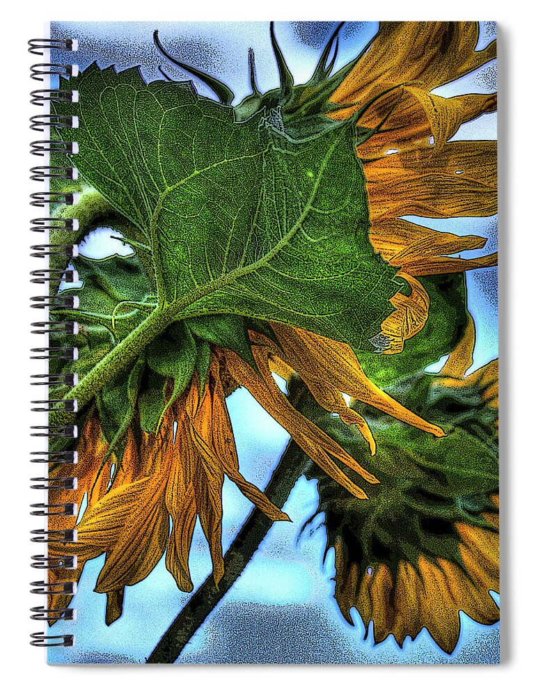  Spiral Notebook featuring the photograph Sunflower by Lee Santa