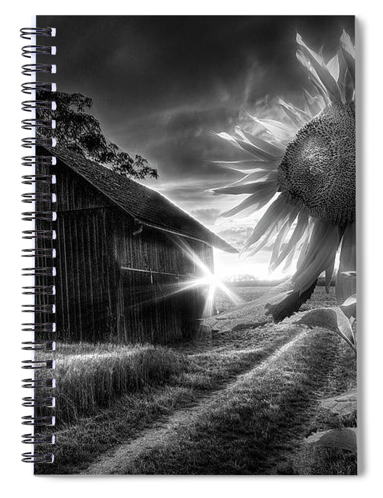 Appalachia Spiral Notebook featuring the photograph Sunflower Watch in Radiant Black and White by Debra and Dave Vanderlaan