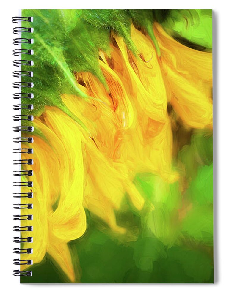 Sunflower Spiral Notebook featuring the photograph Sunflowers Helianthus 147 by Rich Franco