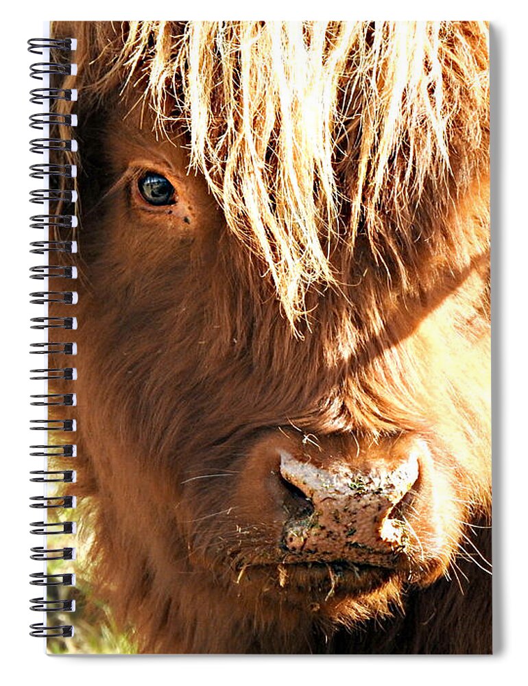 Sunkissed Spiral Notebook featuring the photograph Sunkissed by Dark Whimsy