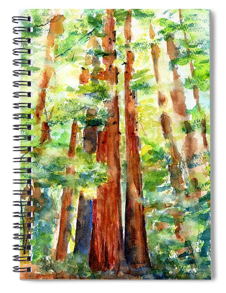 Redwoods Spiral Notebook featuring the painting Sunlight through Redwood Trees by Carlin Blahnik CarlinArtWatercolor