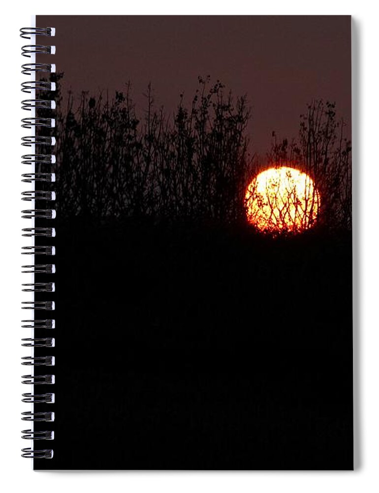 Sunrise Spiral Notebook featuring the photograph Sunrise Silhouette by Ann E Robson