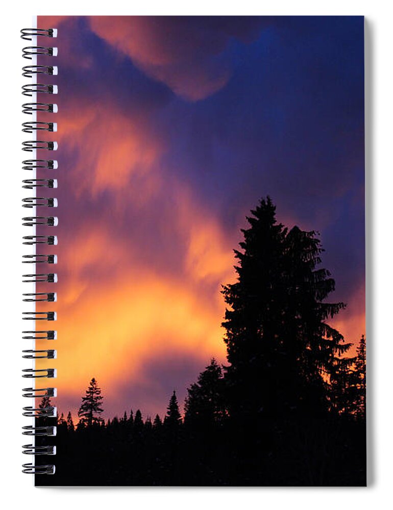 Sunset Spiral Notebook featuring the photograph Sunset and trees by Jean Evans