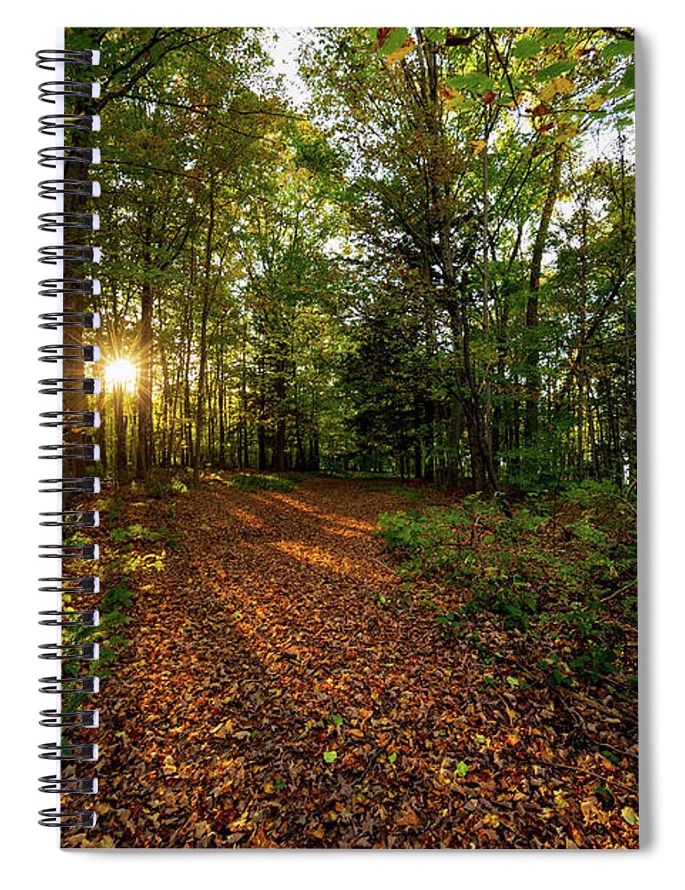 Sunset Spiral Notebook featuring the photograph Sunset in the forrest #1381 by Michael Fryd