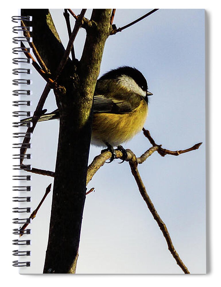 Bird Spiral Notebook featuring the photograph Sunset by Rockybranch Dreams