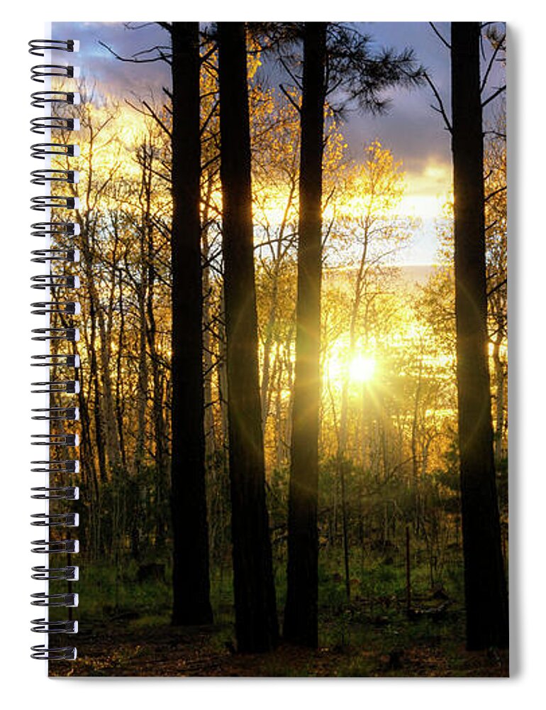 Arizona Spiral Notebook featuring the photograph Sunset Through The Pines by Saija Lehtonen