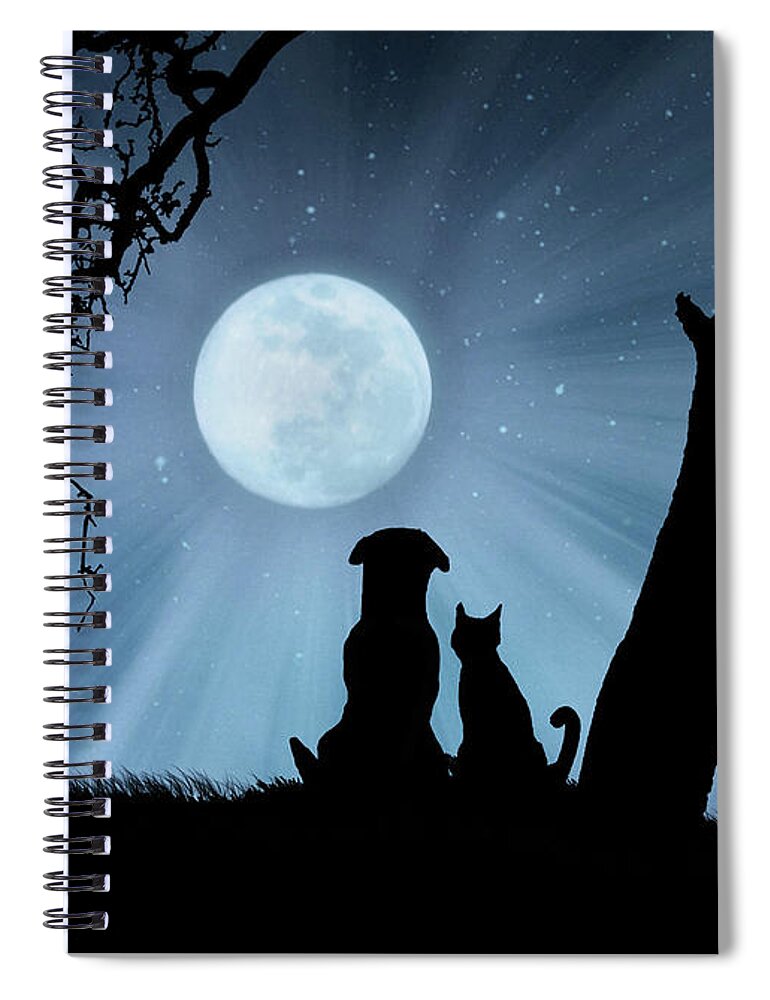 Kid's Room Spiral Notebook featuring the photograph Super Cute Cat and Dog Watching the Moon by Stephanie Laird