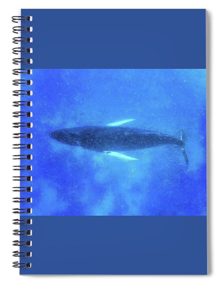 Sleeping Whale Spiral Notebook featuring the photograph Suspension by Louise Lindsay