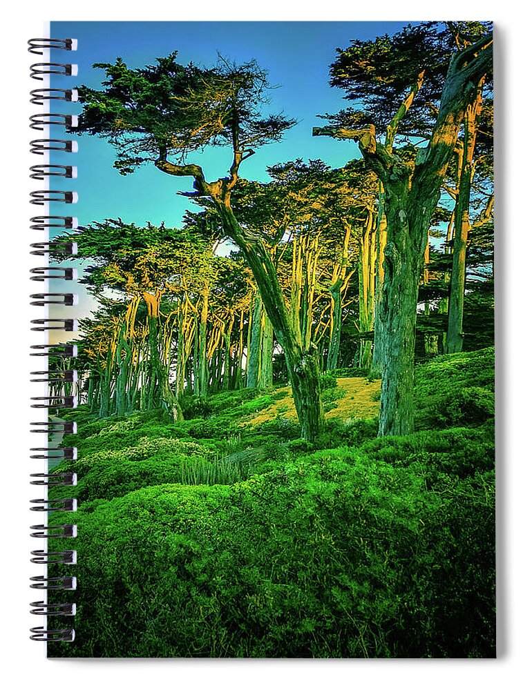 Sutro Spiral Notebook featuring the photograph Sutro Trees in Morning Light by James Canning
