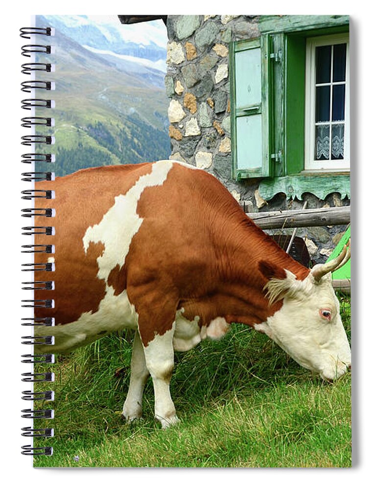 Horned Spiral Notebook featuring the photograph Swiss Dairy Cow by Sbossert