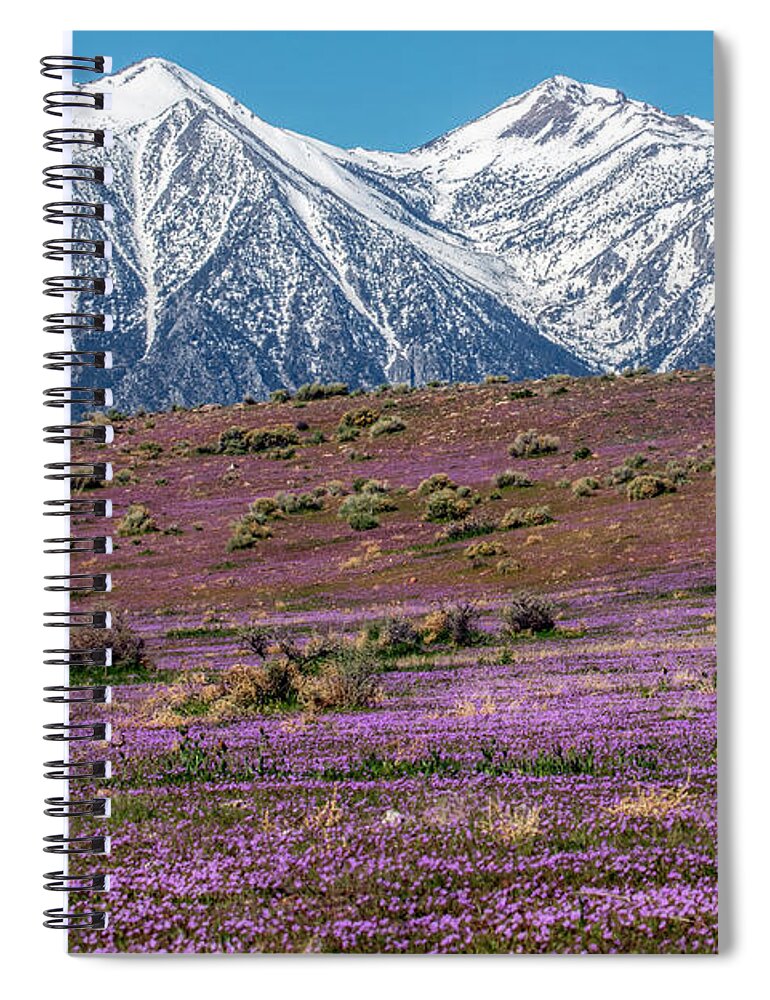  Spiral Notebook featuring the photograph _t__9668 by John T Humphrey