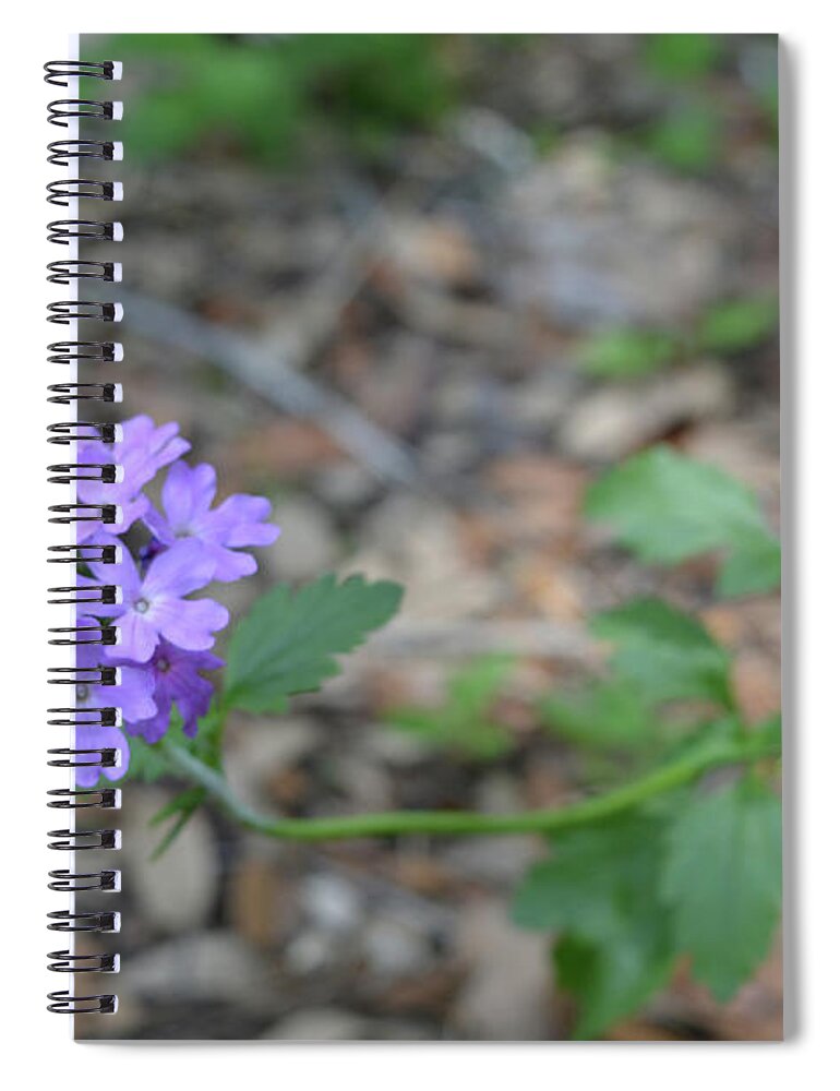 Flower Spiral Notebook featuring the photograph Tampa Vervain by Aimee L Maher ALM GALLERY