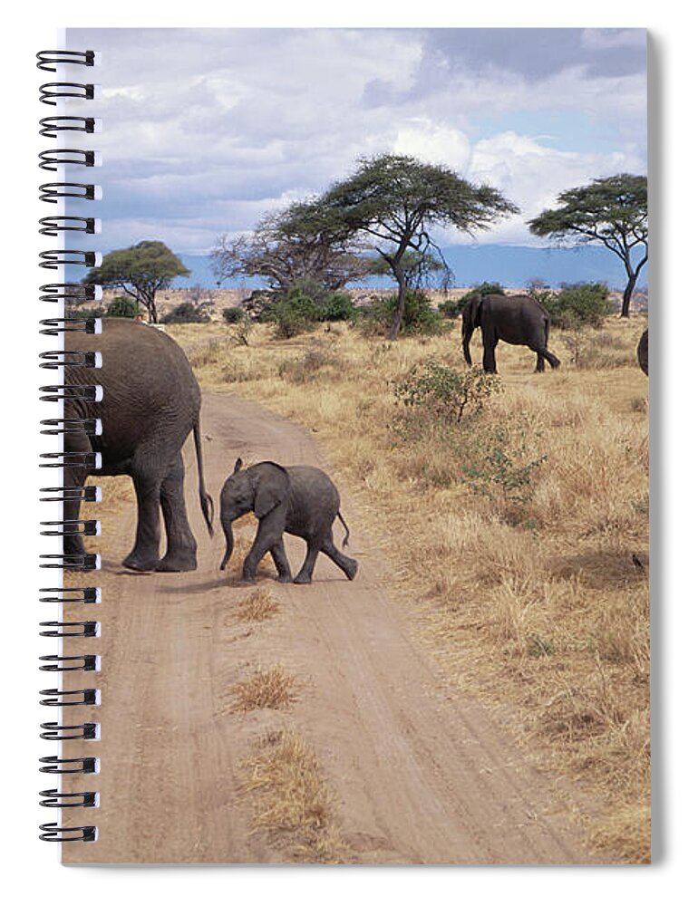 Tanzania Spiral Notebook featuring the photograph Tanzania, Tarangire Np, African by John & Lisa Merrill