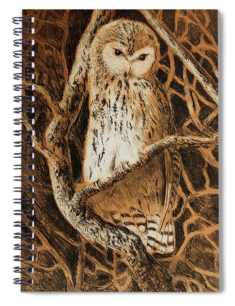 Tawny Owl Spiral Notebook featuring the drawing Tawny Owl by Hans Egil Saele