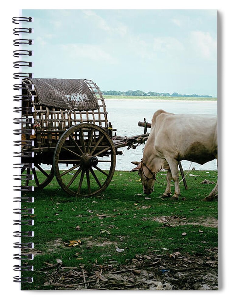 Working Animal Spiral Notebook featuring the photograph Taxi In Myanmar by Vlad Bezden