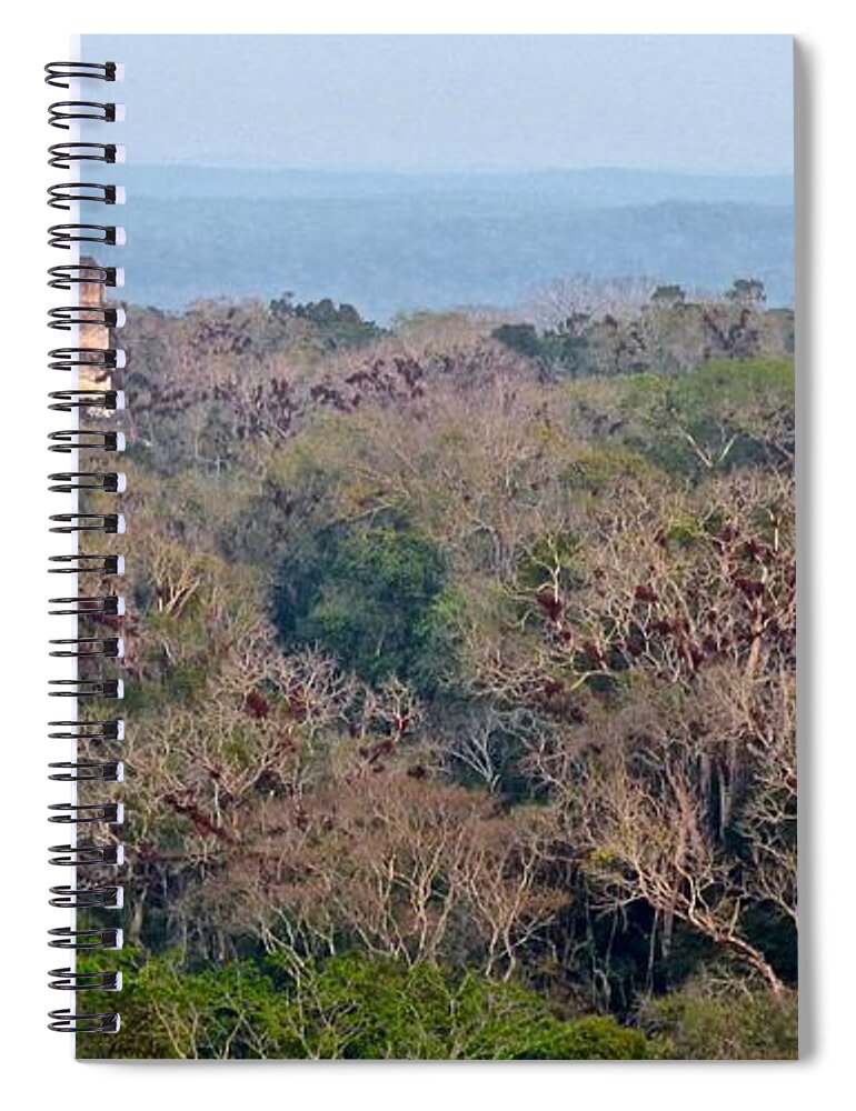 Fine Art Spiral Notebook featuring the photograph Temples Jungle and Epiphytes Tikal by Amelia Racca