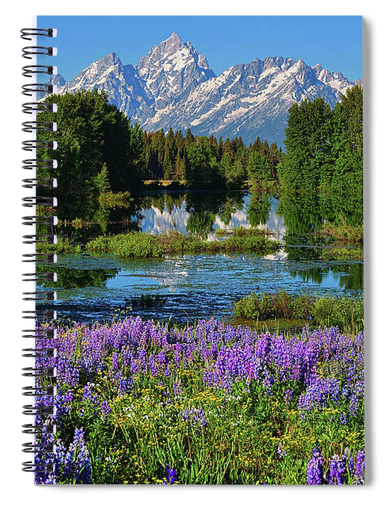 Grand Teton National Park Spiral Notebook featuring the photograph Tetons and Lupines by Greg Norrell