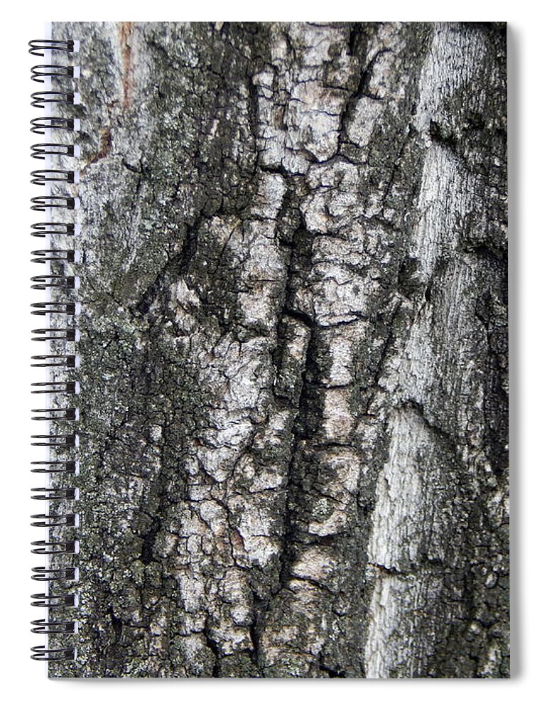 Bark Spiral Notebook featuring the photograph Texture of the bark of an old fruit tree by Oleg Prokopenko
