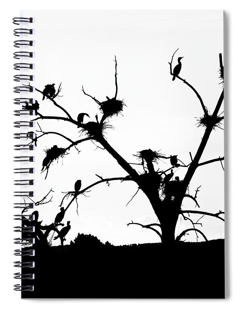 Cormorant Spiral Notebook featuring the photograph The Birds by Kevin Schwalbe
