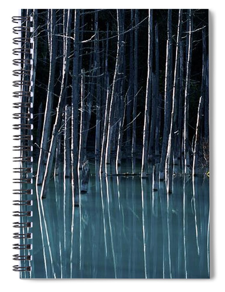 Tranquility Spiral Notebook featuring the photograph The Blue Pond by ©ichirou Hidano