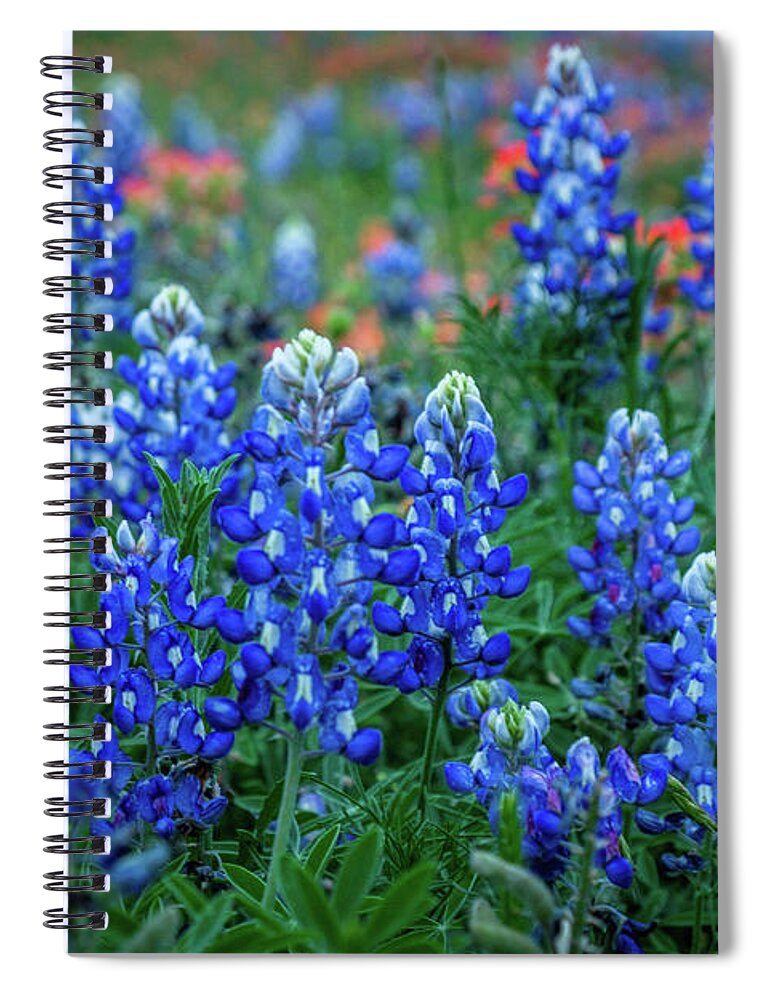 Texas Bluebonnets Spiral Notebook featuring the photograph The Blues by Johnny Boyd