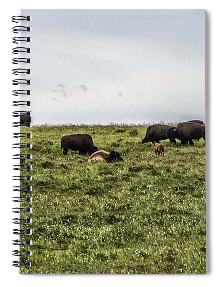 Animals Spiral Notebook featuring the photograph The Buffalo Still Roam by Kathy McClure