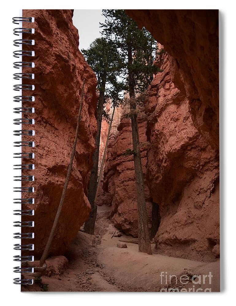 Utah Spiral Notebook featuring the photograph The Chapel, Bryce Canyon by Leslie M Browning