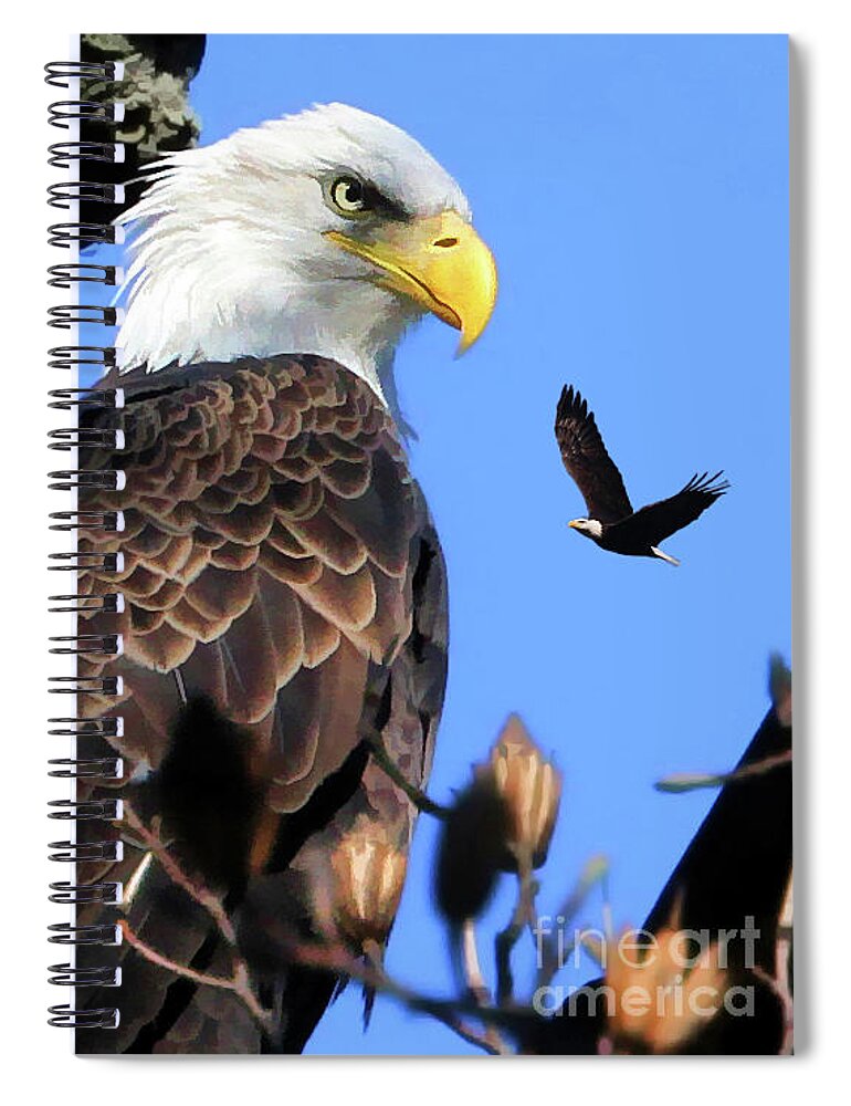 Bald Eagles Spiral Notebook featuring the photograph The Commander by Geoff Crego
