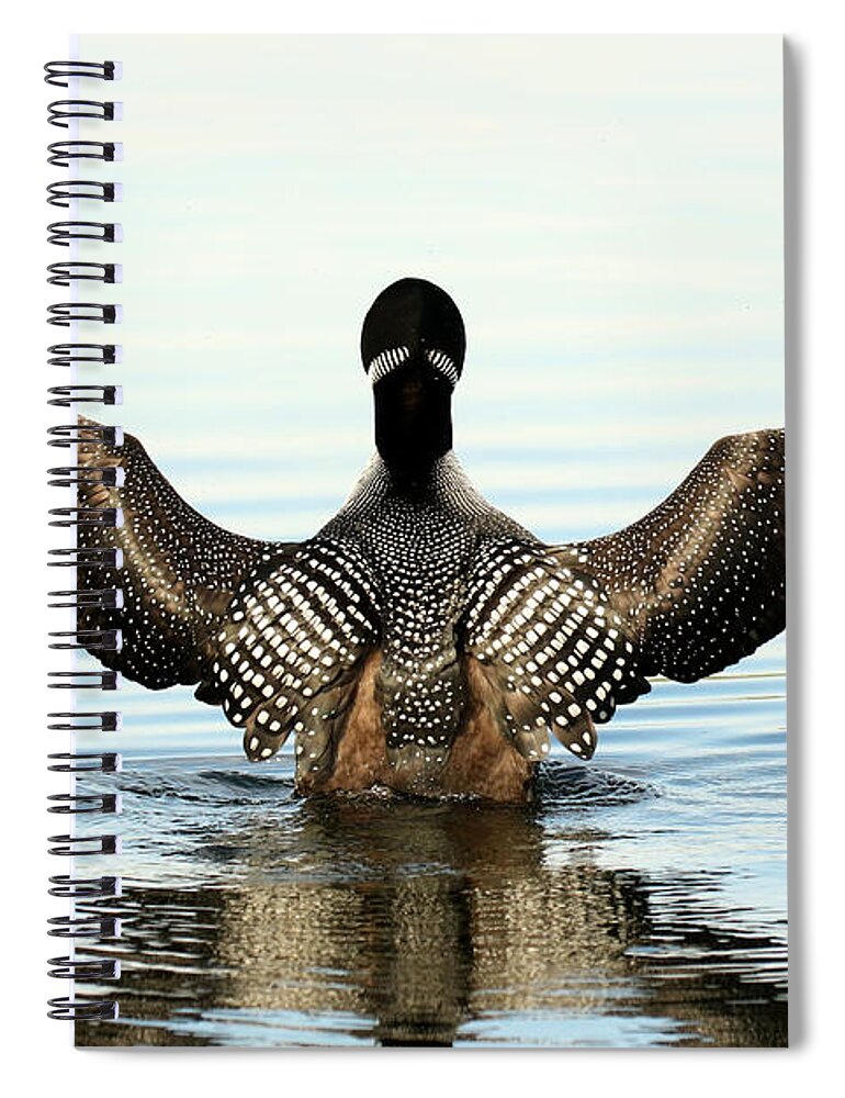 Loon Spiral Notebook featuring the photograph The conductor by Heather King