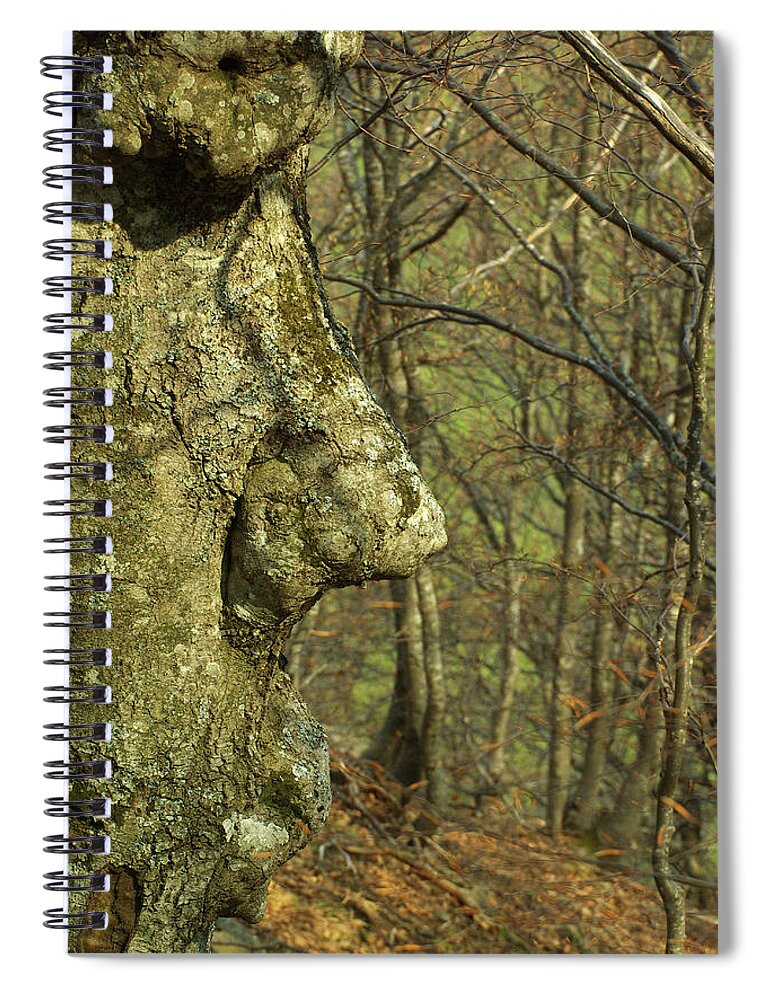 Natura Spiral Notebook featuring the photograph The Face Of The Tree by Simone Lucchesi