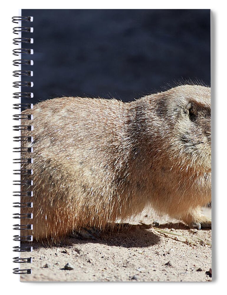Rodentia Spiral Notebook featuring the photograph The Finger by Robert WK Clark