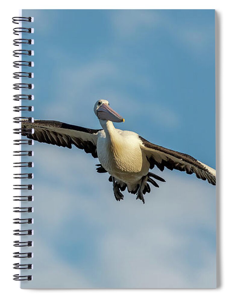 Australia Spiral Notebook featuring the photograph The Glider by Chris Cousins
