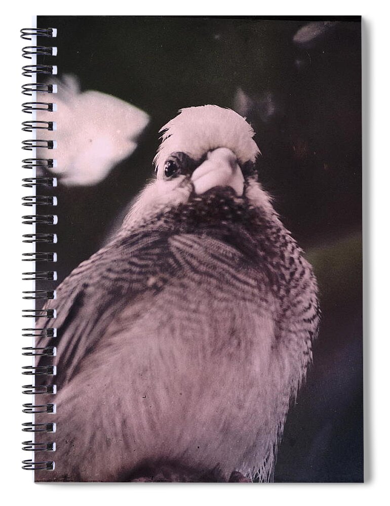 Bird Spiral Notebook featuring the photograph The Godfeather by Lisa Burbach