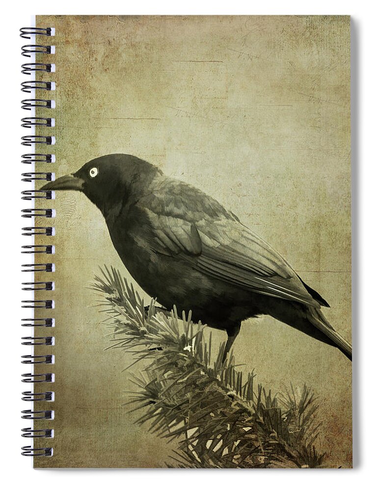 Bird Spiral Notebook featuring the photograph The Grackle by Cathy Kovarik