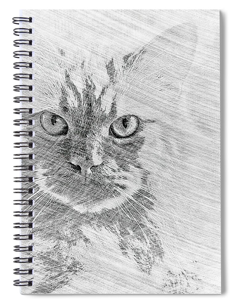 Kitten Spiral Notebook featuring the digital art The Head Sketch by Don Northup