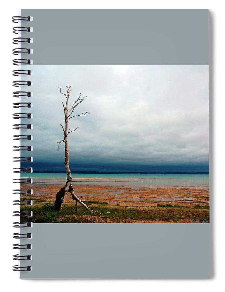  Spiral Notebook featuring the photograph The Last Birch by Rein Nomm