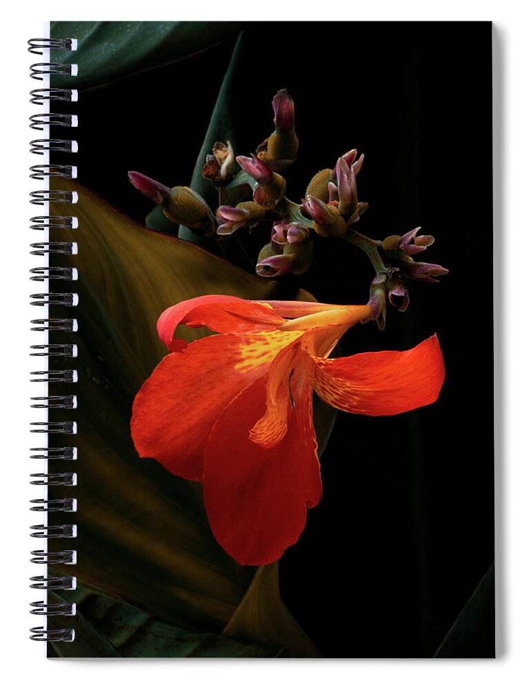 Julia Cameron Awards Spiral Notebook featuring the photograph The Mystery Is In Your Eye by Cynthia Dickinson