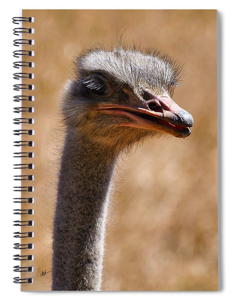 Ostrich Spiral Notebook featuring the photograph The Ostrich by Mark Valentine