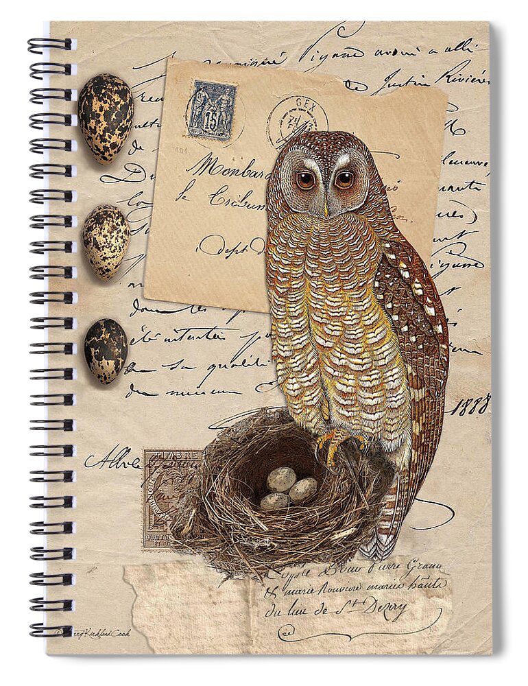  Spiral Notebook featuring the digital art The Owl Nest and Eggs by Terry Kirkland Cook