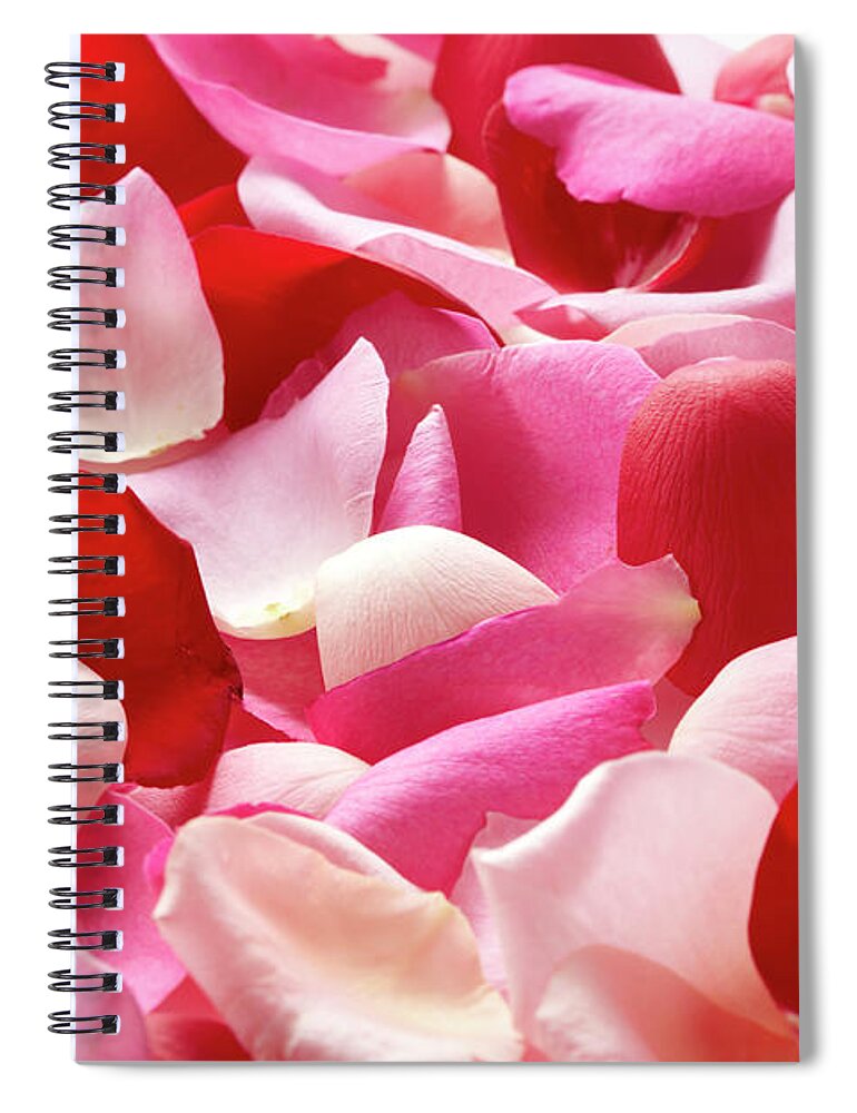 Natural Pattern Spiral Notebook featuring the photograph The Petal Which Was Spread by Yuji Kotani